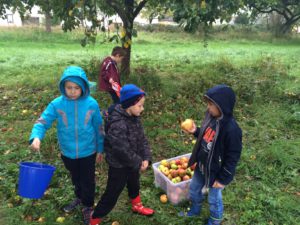 Apfeltage GS Alftal 2